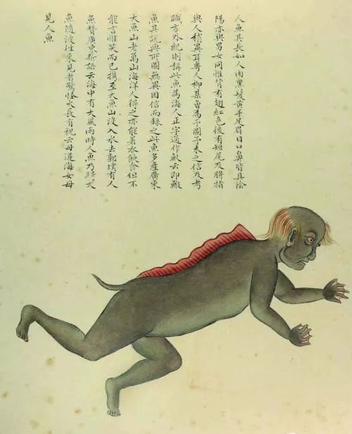 故宫奇书：生物爱好者的“意淫”之作，满足乾隆皇帝什么样的想象