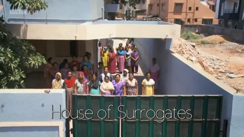 取卵冻卵，代孕弃养，郑爽事件背后：我们拿什么保护我们的女儿？