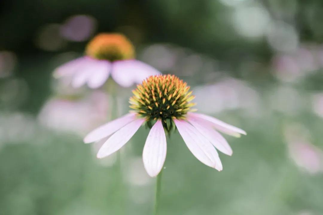 踏踏实实走脚下的路精彩语段,朗读走自己的路