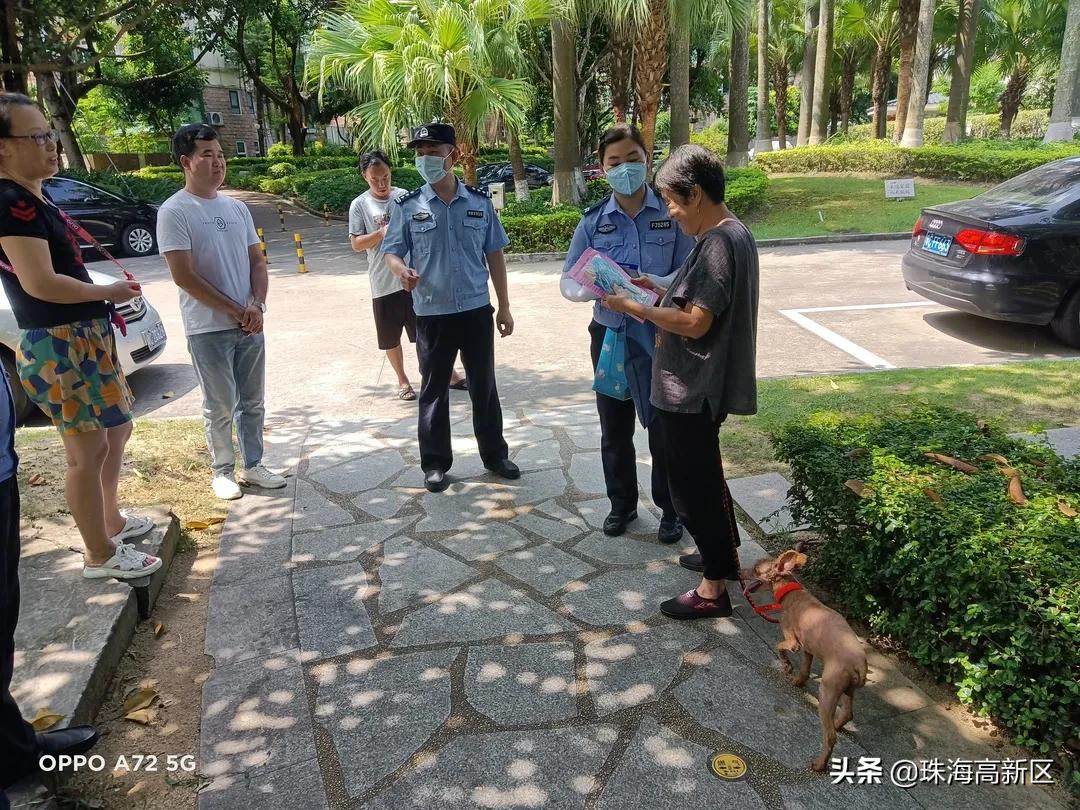 铲屎官请注意文明养犬妙招看这里,铲屎官养狗必看知识