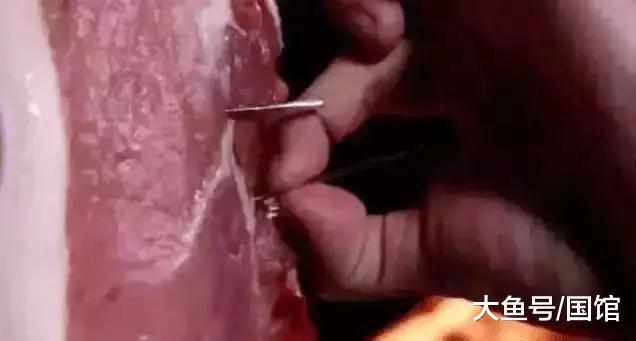 儿童防触电玩具,防止小孩触电玩具