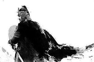 杨再兴和岳云打金兀术是第几集,岳家军十大猛将杨再兴