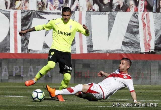 悲伤笼罩,悲伤笼罩巴黎