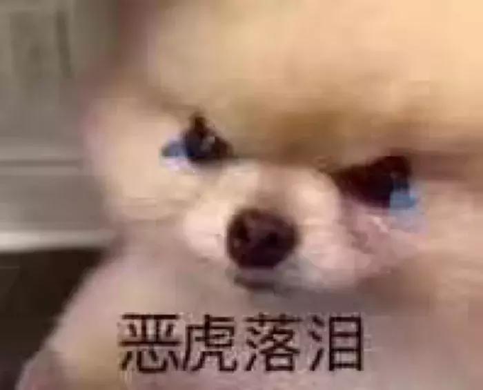 4款不输大牌的平价包包潮爆了,背大牌款式的包