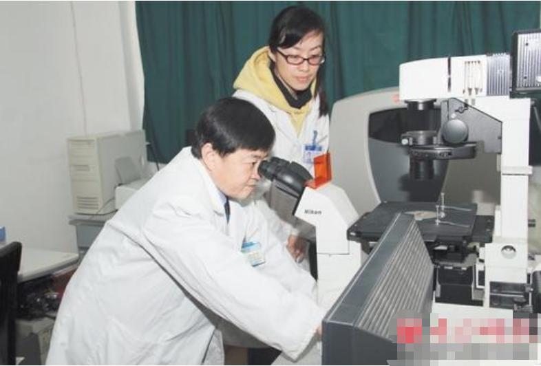 做试管婴儿的全部流程时间,做试管婴儿的艰难之路