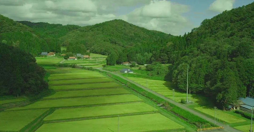 十部必看小森林电影,治愈系电影小森林片段之一