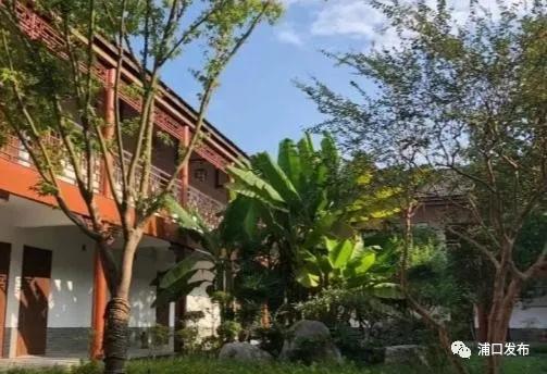 浦口花,南京看花的地方浦口