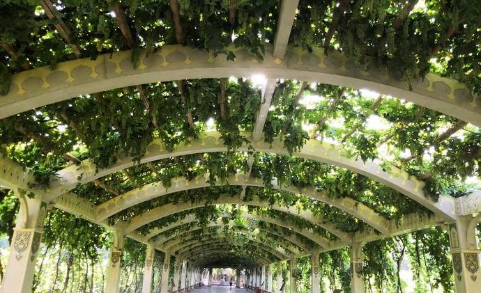 去新疆不跟团不自驾怎么玩,普通人不跟团去重庆自由行