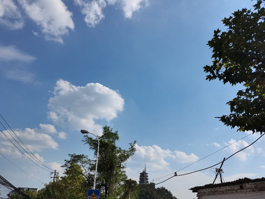 魔都上海?打工人的噩梦,欲望之城