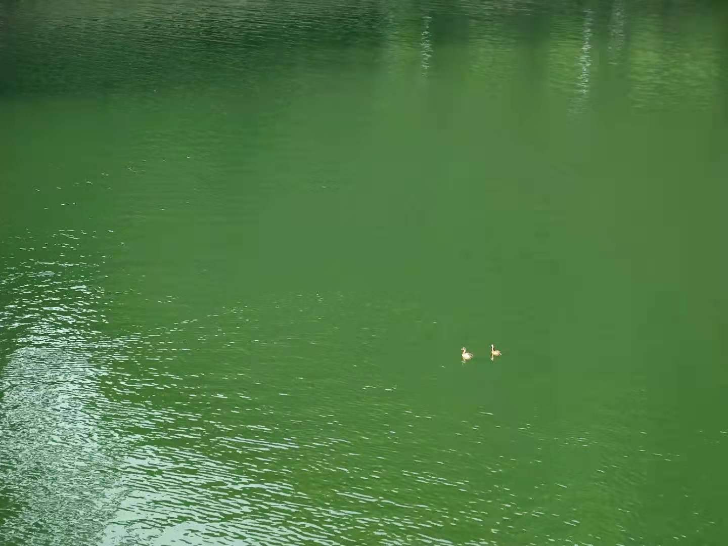 越美好,越艰辛(2021年暑假复盘)