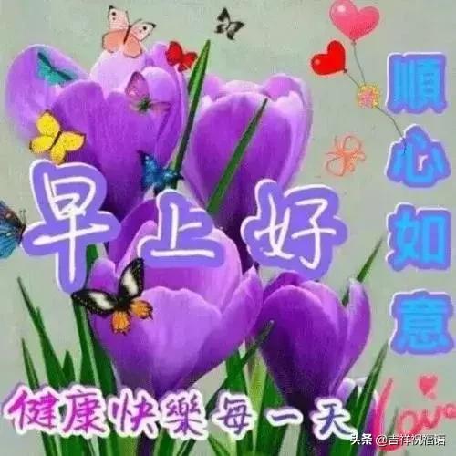 清晨最美的早上好问候祝福语图片,早上好问候语图片早安心语