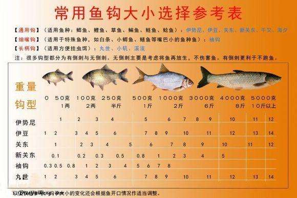 渔具不要瞎买价值5000元的教训让钓友少走弯路