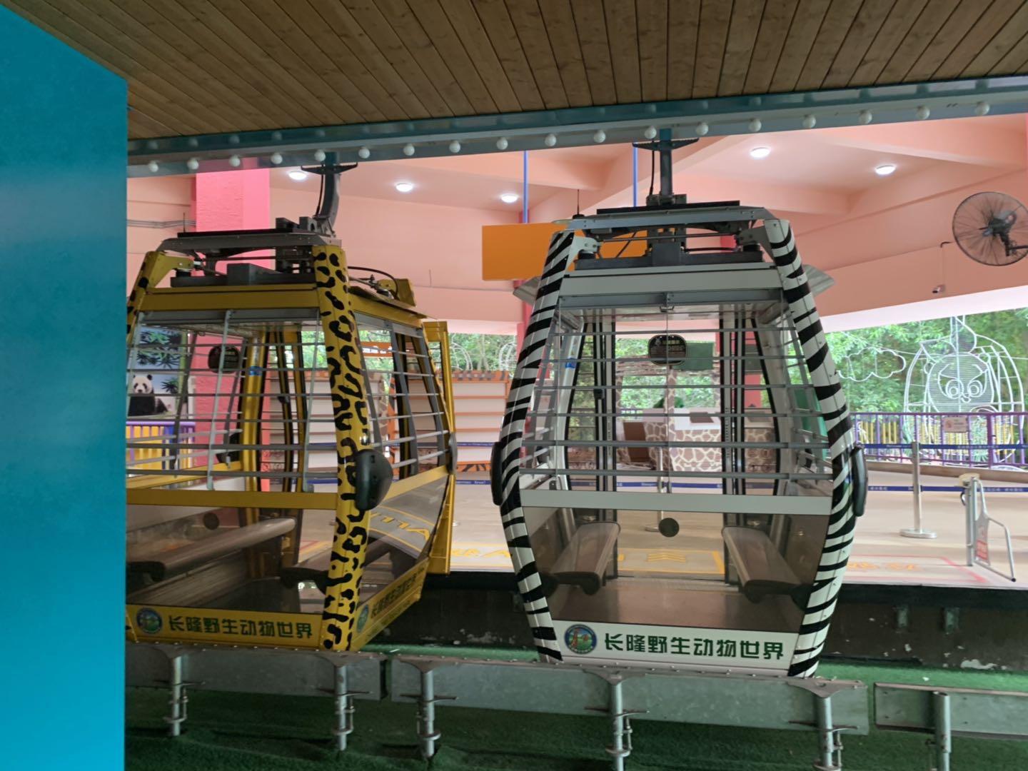 长隆野生动物世界推荐,长隆野生动物园必看动物