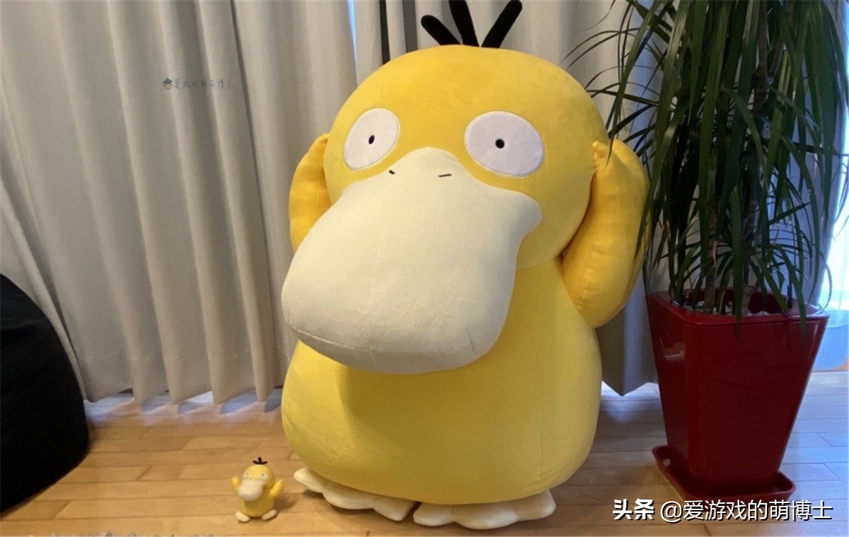 可达鸭很像的宝可梦,可达鸭独一无二