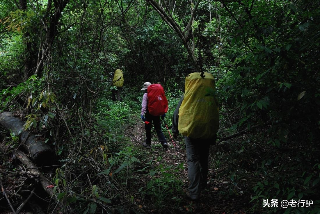驴行天下自驾游,驴行天下户外自驾