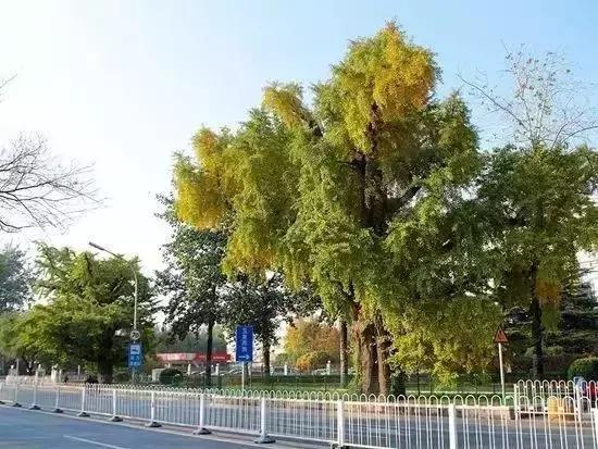 周恩来总理为新中国保护了多少*物文**古迹?