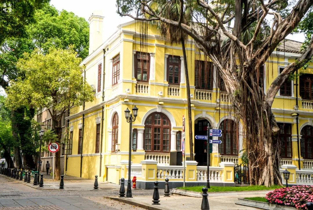 疫情下的麦当劳啥样,疫情过后麦当劳该长啥样