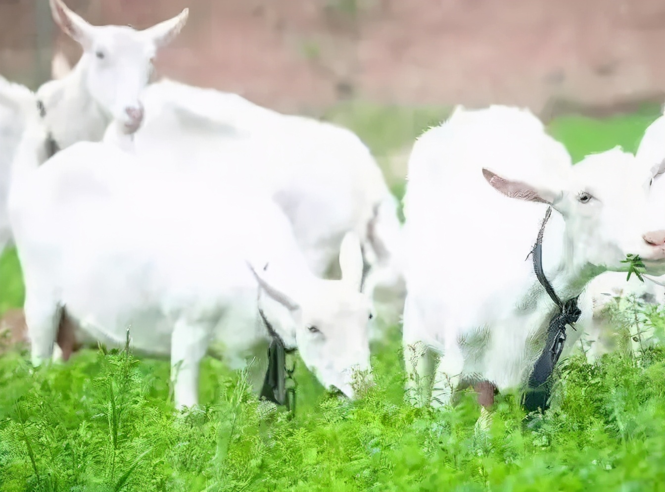 鍦e攼涔充笟鏃呮父,鍦e攼涔充笟鏃呮父瑙嗛