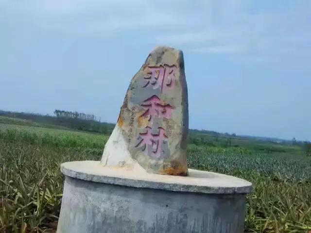 徐闻县历史最长久的村庄,湛江徐闻县历史