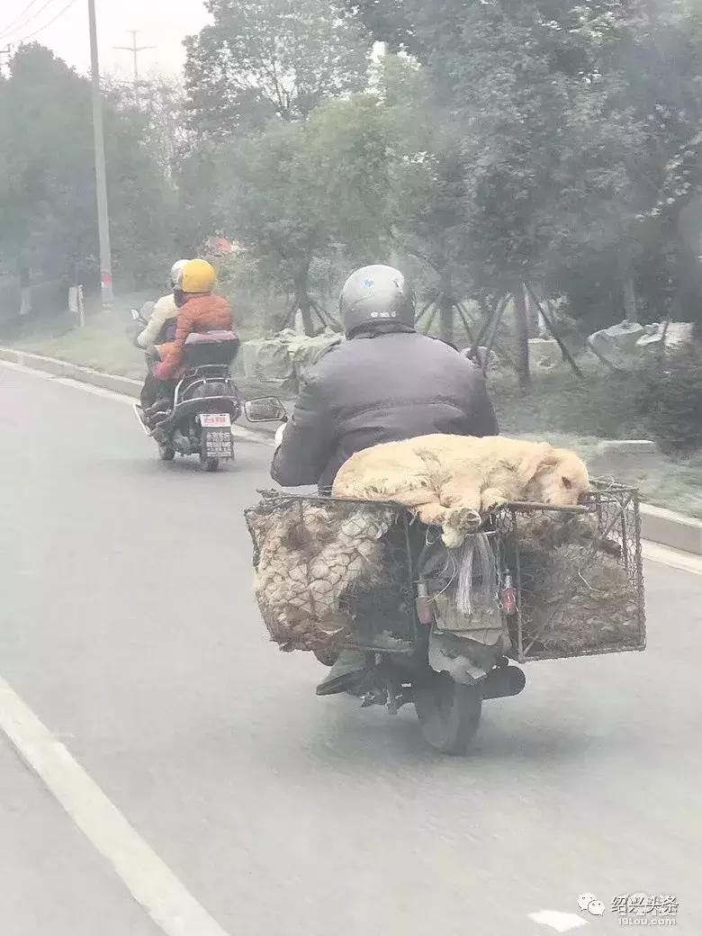 绍兴城南新村拆迁,绍兴城南街道新村2024年拆迁吗