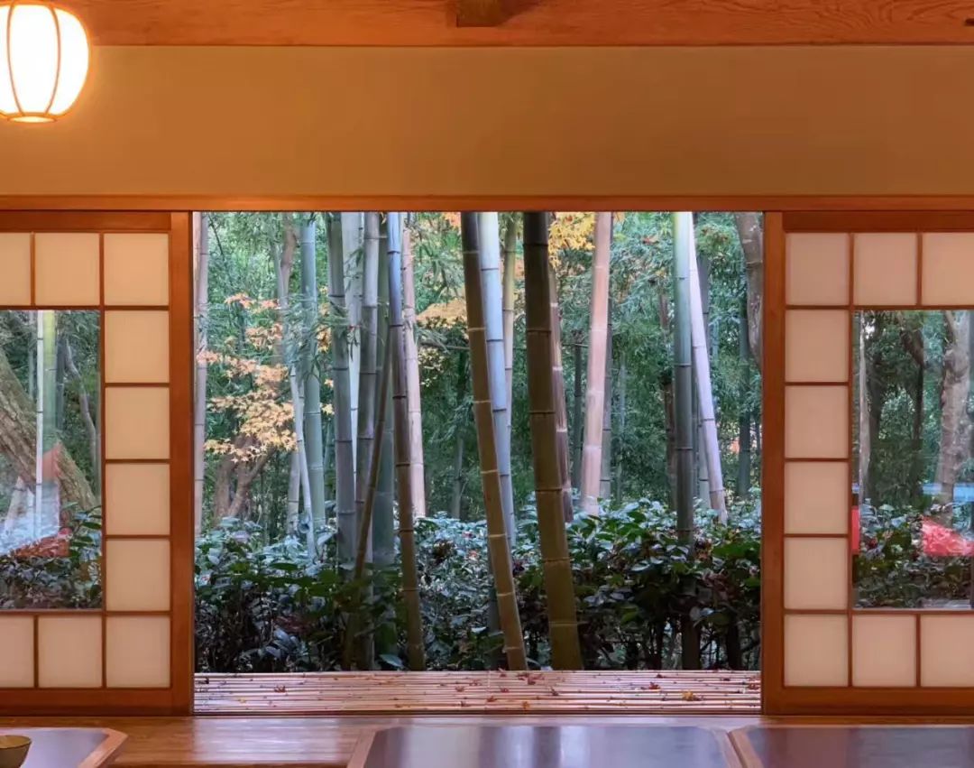 岚山哪有好玩的,日照岚山区值得去吗