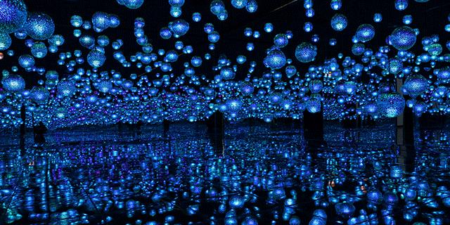 深圳暑假值得带孩子旅游的地方,深圳十大暑假室内必去景点