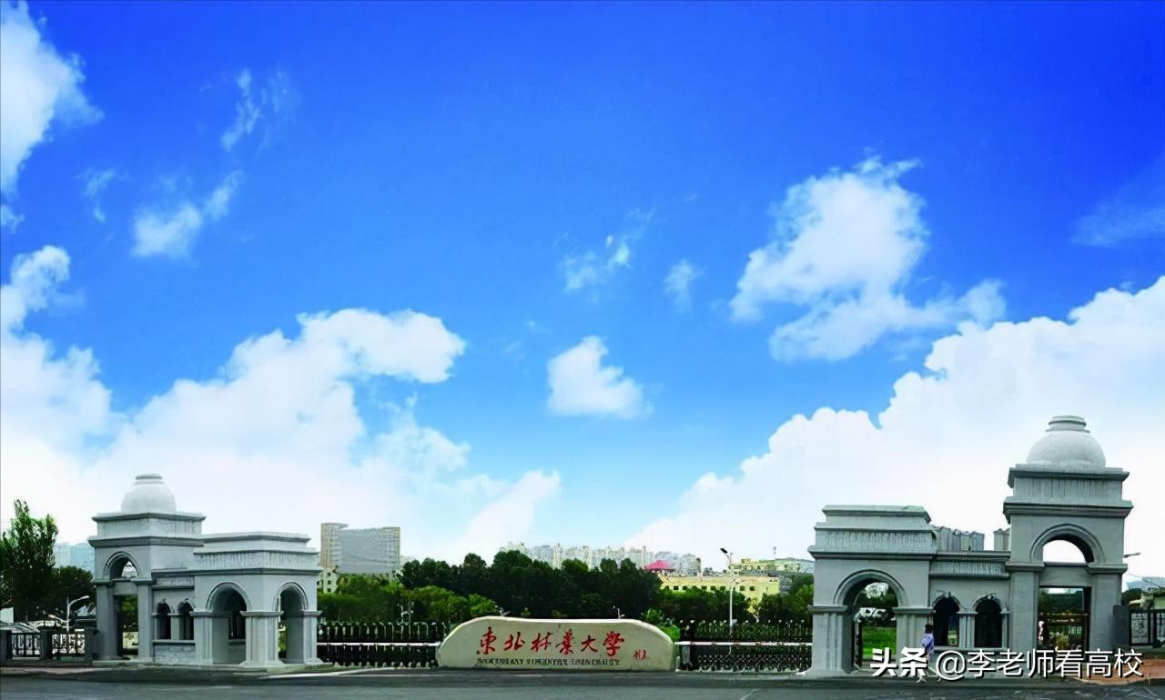 东北林大是省属还是部属高校,东北林大硕博连读几年