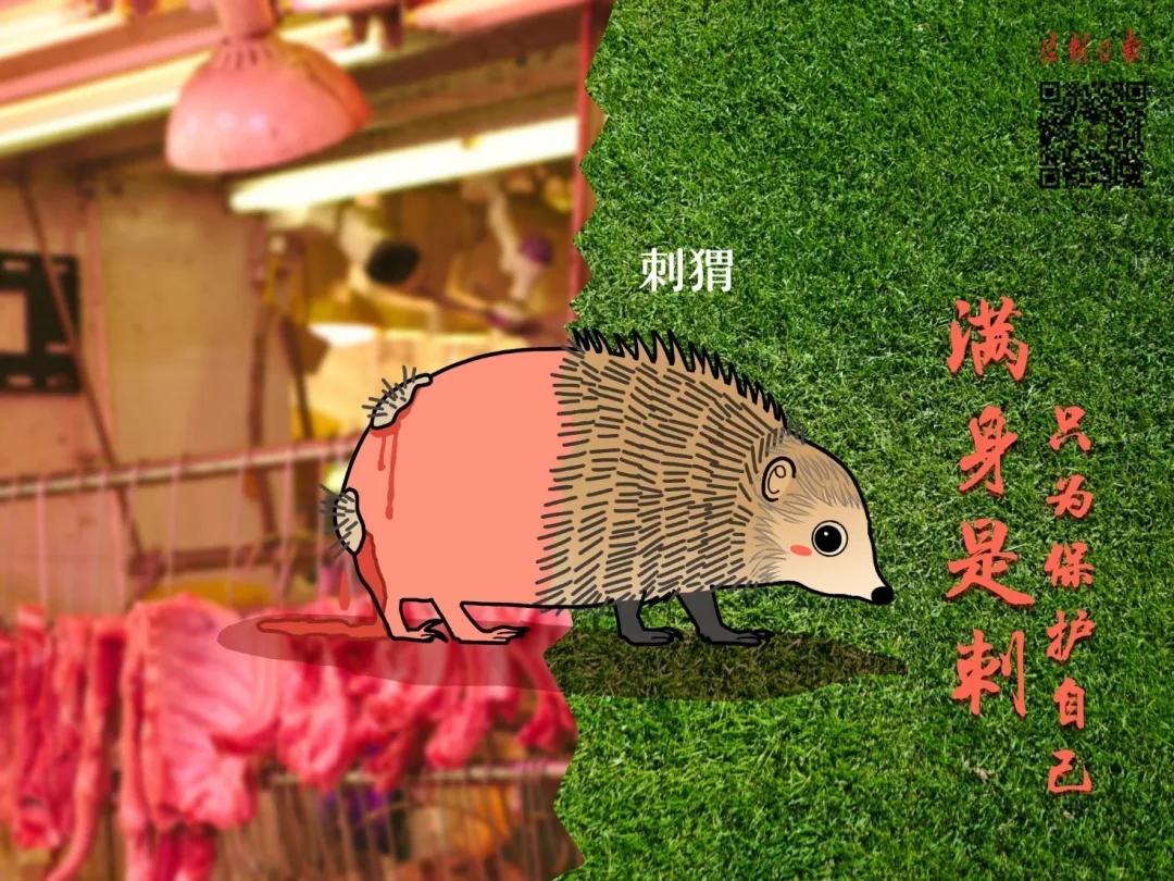 拒绝野味漫画图片,敬畏自然拒绝野味漫画