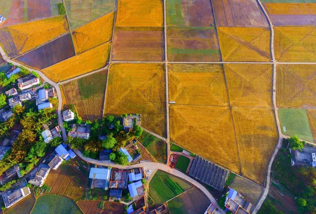 全球启动！仁寿城市发展再升级，牛牛牛！