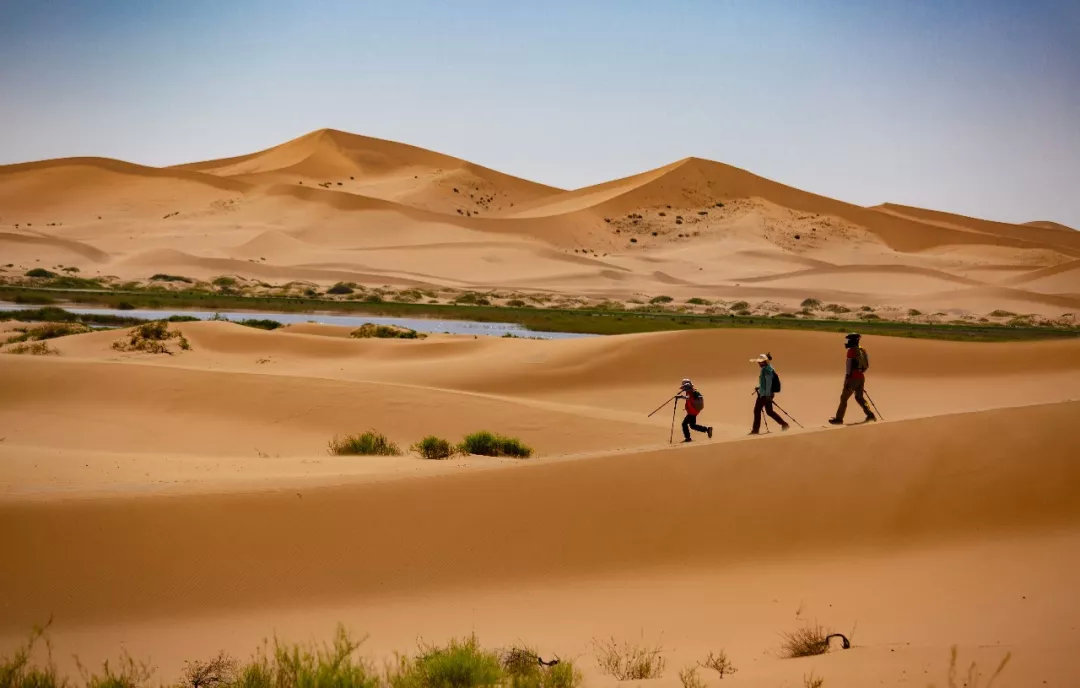 限时抢100元优惠券,限时优惠抢券