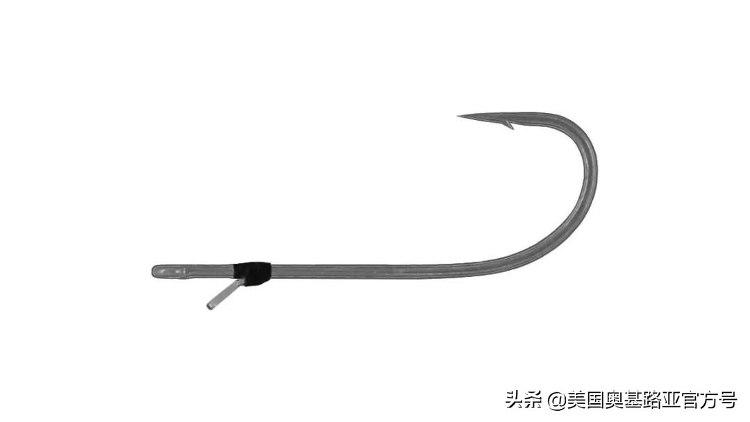 2021年春季渔具展会,2021昆明渔具展时间表