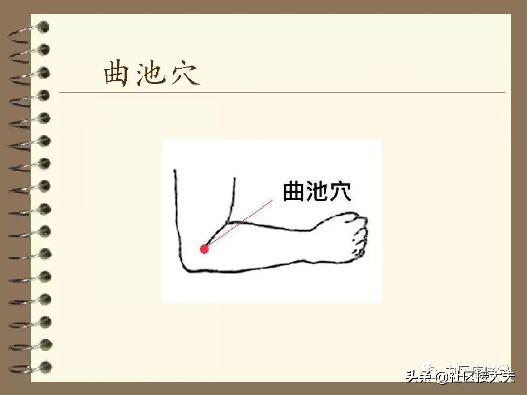 治疗顽固性便秘的针灸疗法,马璐中医针灸治便秘