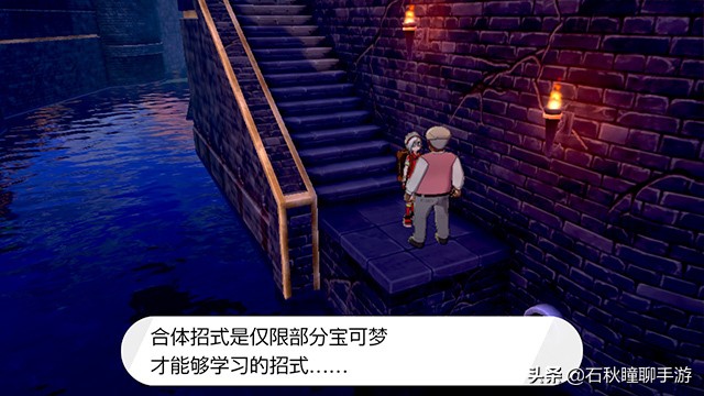 宝可梦剑盾开荒攻略,宝可梦剑新手攻略全流程