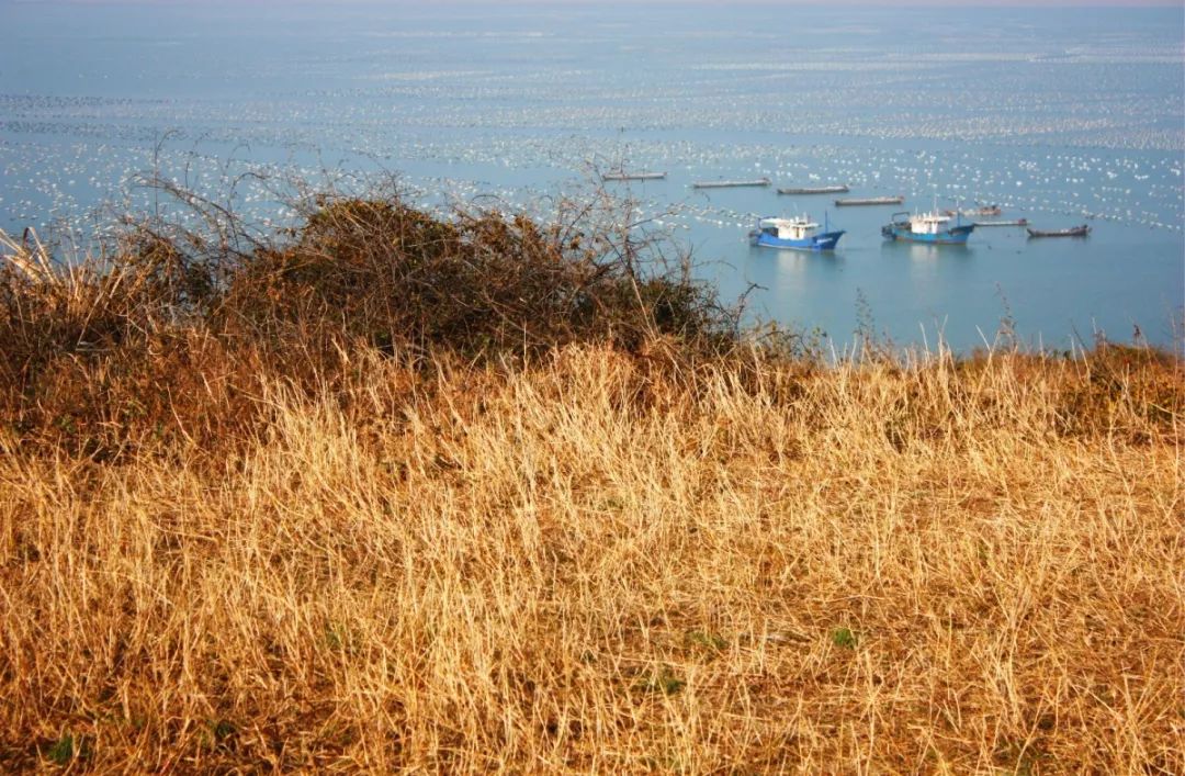 旅行种草,垦丁必打卡景点