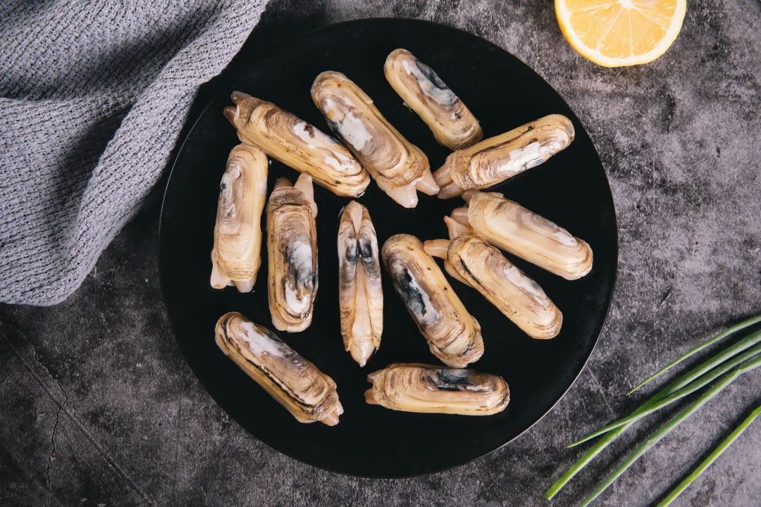 蛤蜊蚶子蛏子区别,蛏子海螺牡蛎蛤蜊