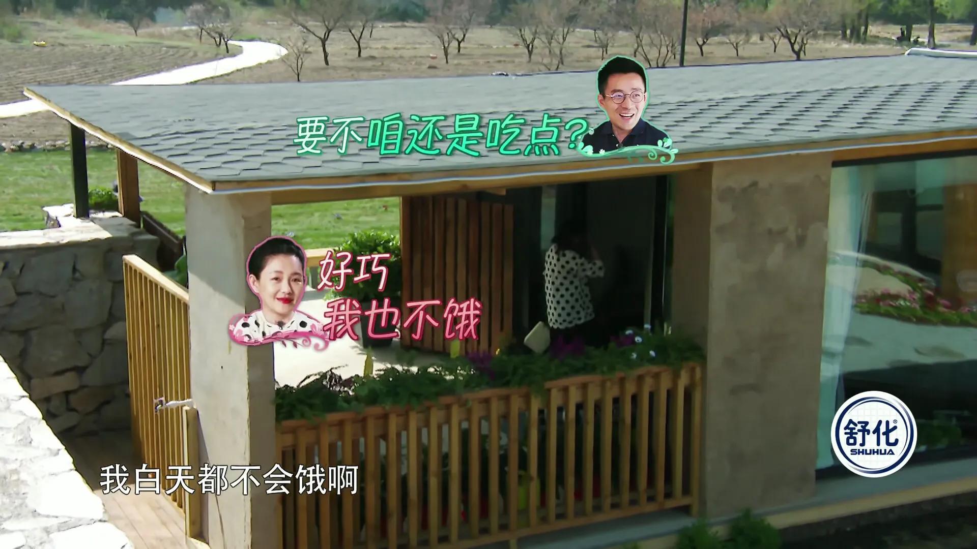 大s喜欢甄嬛传,大s本来要演甄嬛哪个角色