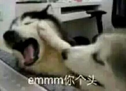 来了就办，不填表！给我1分钟就行~