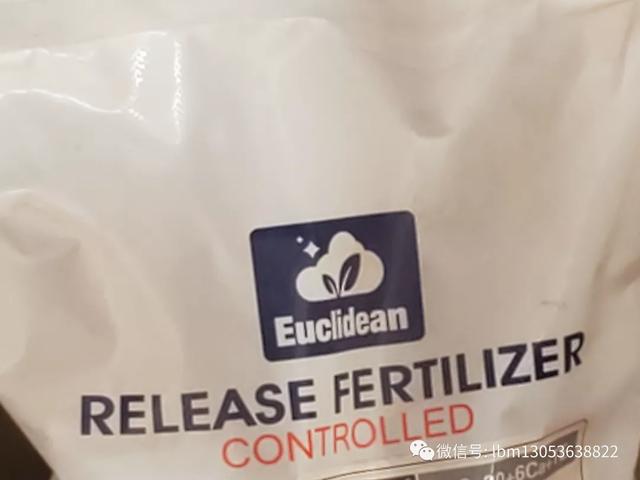 种姜用哪种肥比较好,种姜中期施肥