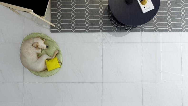 诺贝尔瓷砖，健康美学家