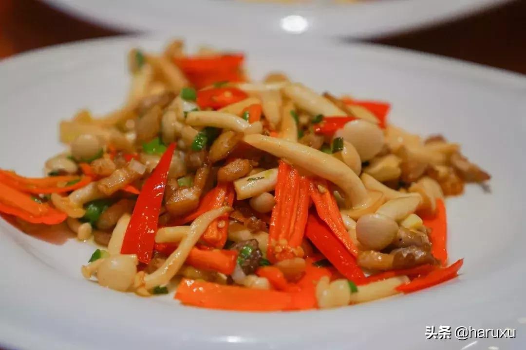 南方也能下雪吗,南方也能见到雪