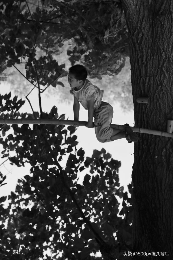 襄河人家令人神往：养几只土鸡、猫狗和一些花草…何等美好的生活