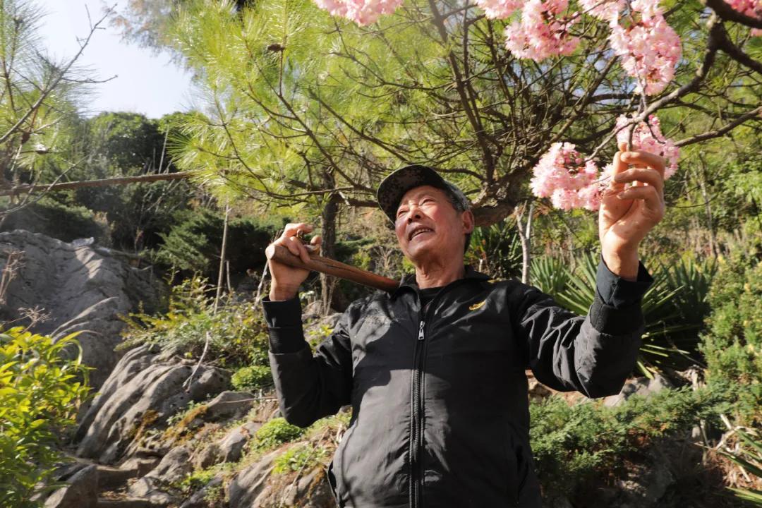 不减产不减量!疫情下,家庭农场主们这样忙活“生意经”