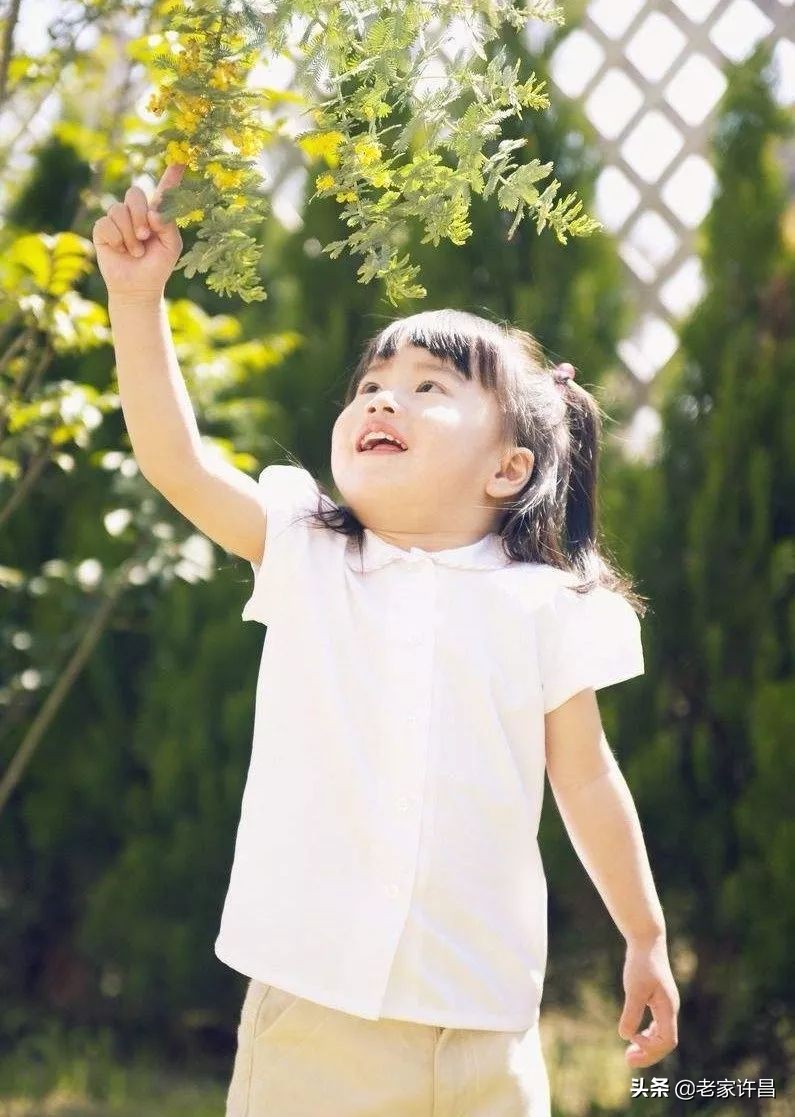 与青兰语：一位爸爸的心声