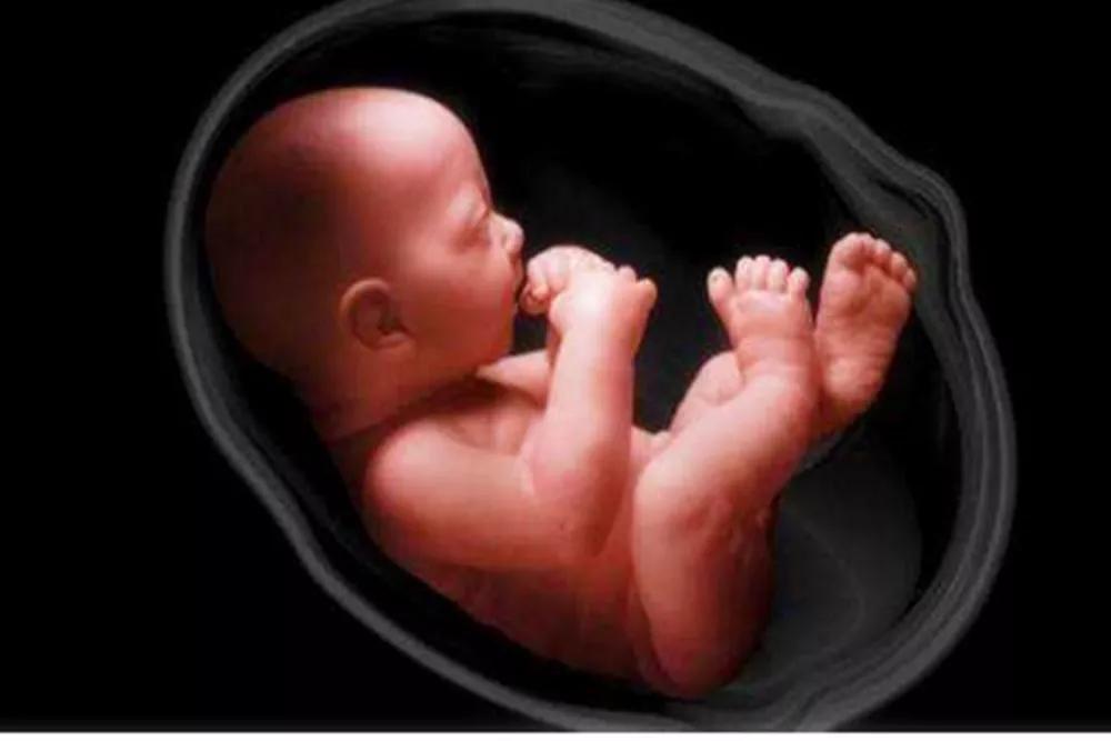 福临门大豆油和元宝牌哪个油炸好,金龙鱼精炼一级大豆油适合油炸不