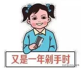 李佳琦叫卖都不管用！双十一猫咪用品这些坑得避