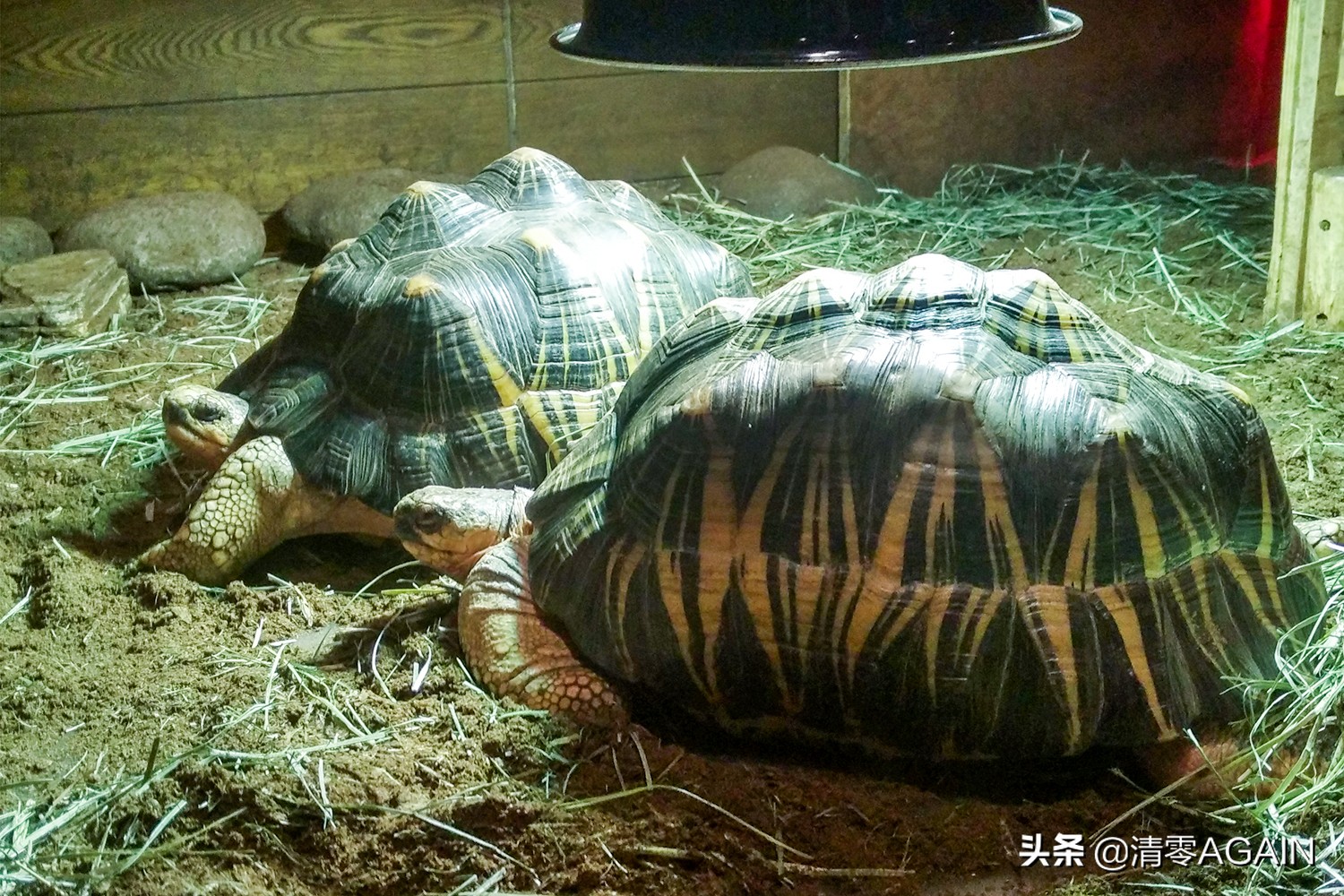 挖掘网红地x另类打卡挪亚方舟的文青路线