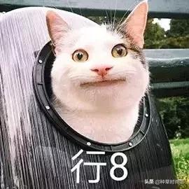 港货屈臣氏最值得买的护肤品,屈臣氏里面有什么值得买的