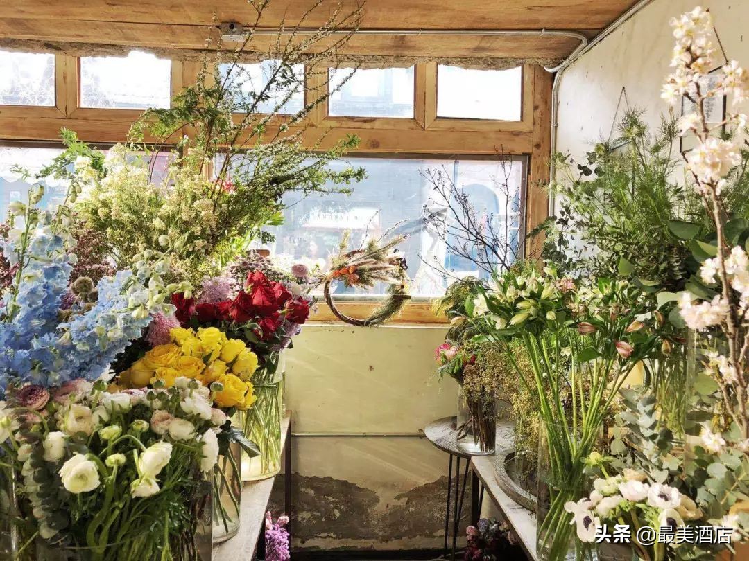 她放弃了总监职位后续,她辞去总监回家扶贫全集