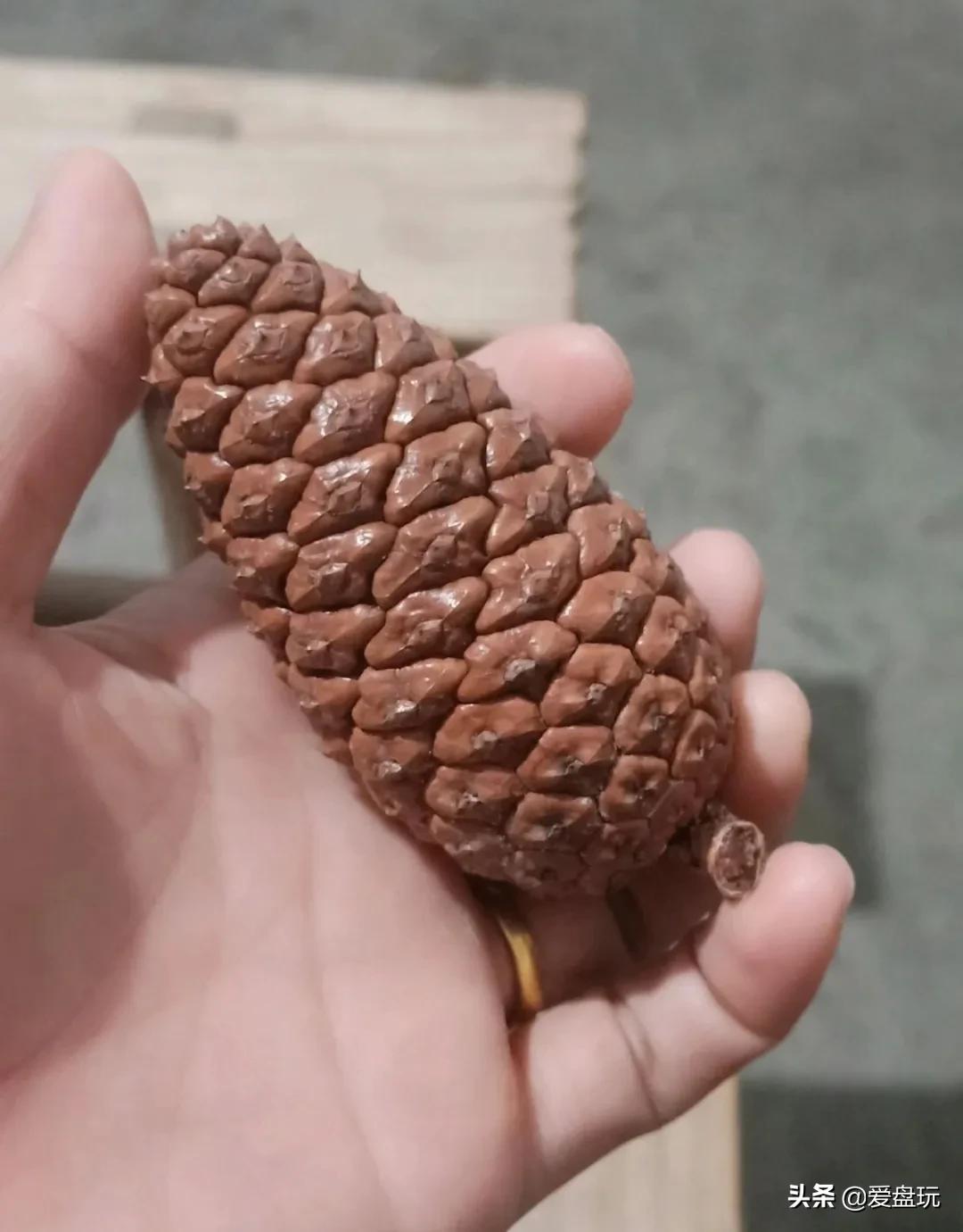 栗子，也能玩？这算啥，看看我玩的