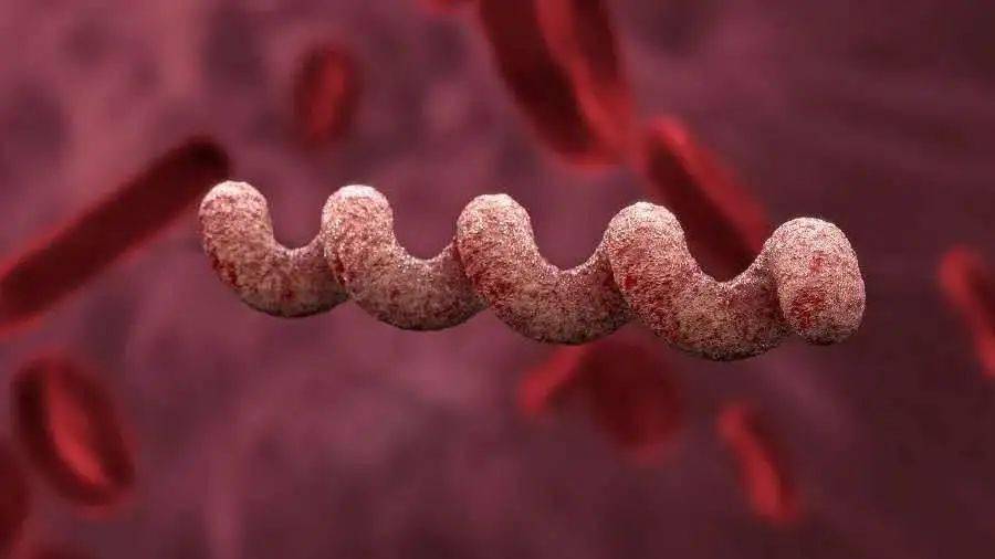 现代梅毒和古代梅毒区别,梅毒古代叫什么